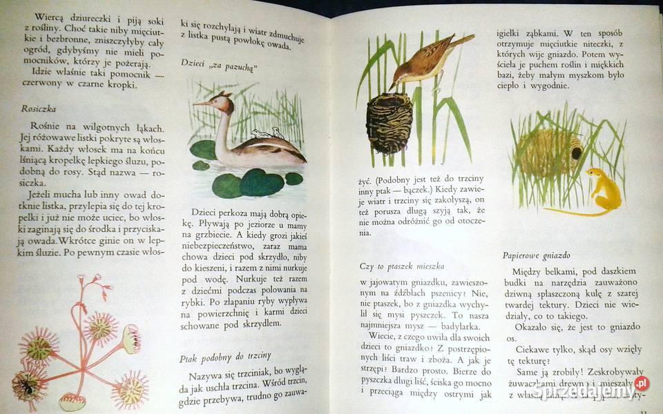 Razem ze słonkiem Lato 3 Maria Kownacka Rok wydania 1986 Chełm