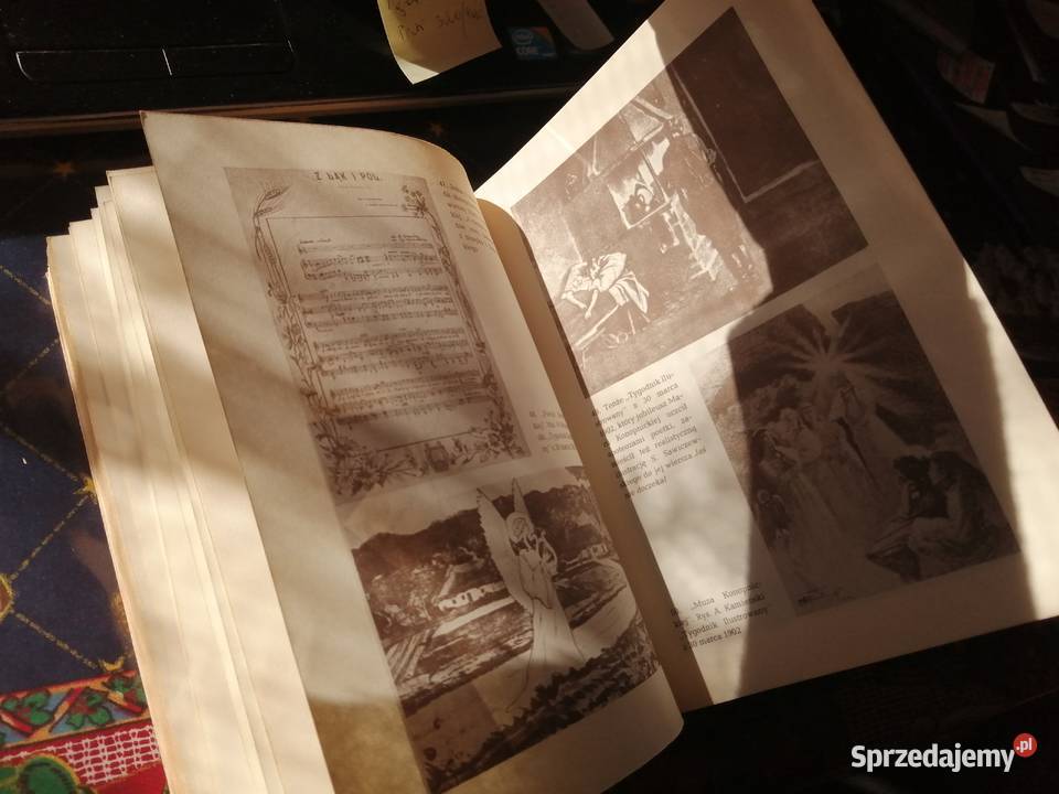 Konopnicka jakiej nie znamy Maria Szypowska miękka Siewierz