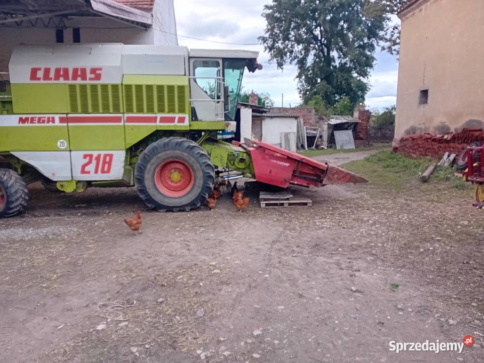 Przystawka do kukurydzy geringhoff Pichorowice sprzedam