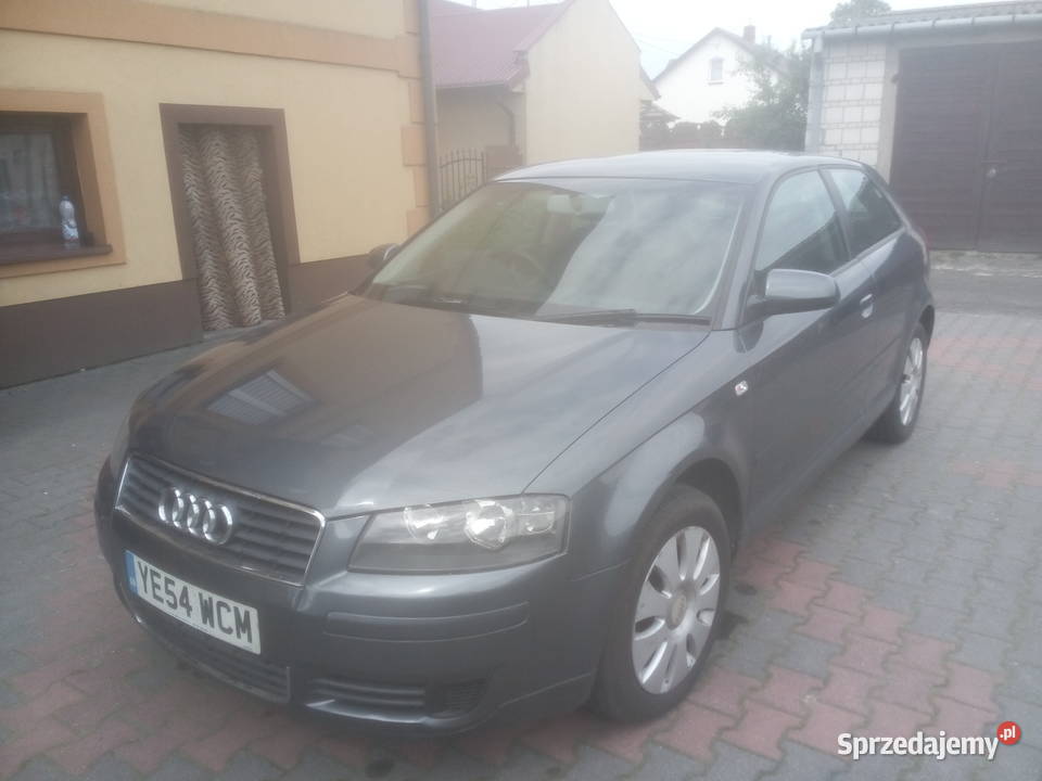 Ladne Audi A3 8p 1 6fsi Anglik 2005r Siedlce Sprzedajemy Pl