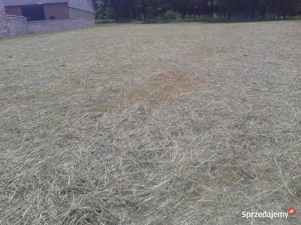 Siano w kostkach snopki Mierzęcice