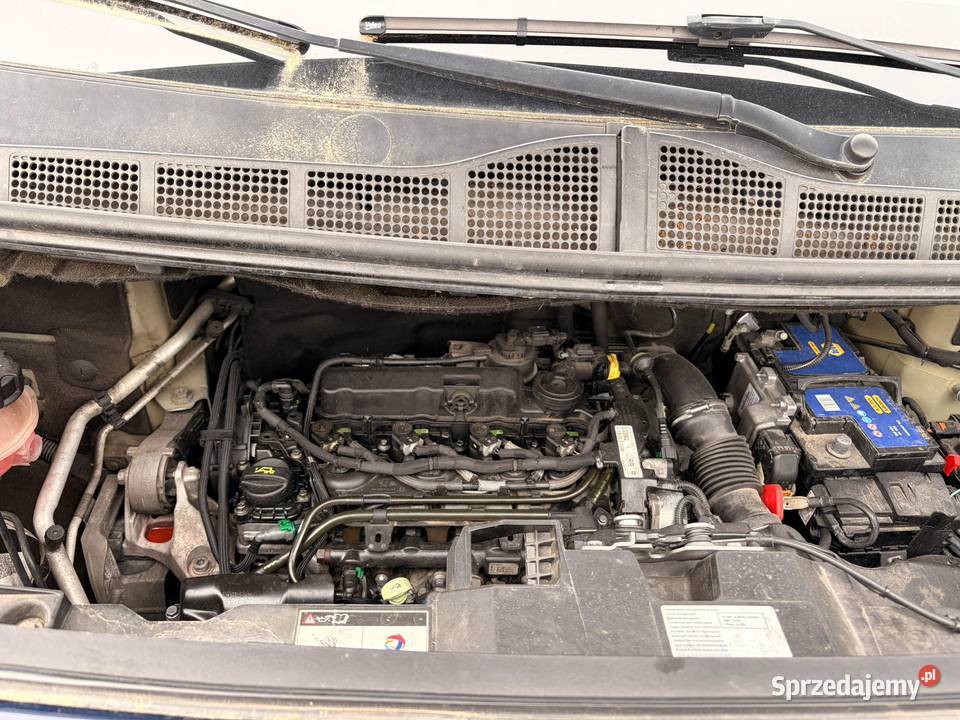 PEUGEOT Expert III 20 BlueHDi 180 BVA EP156 Słubice