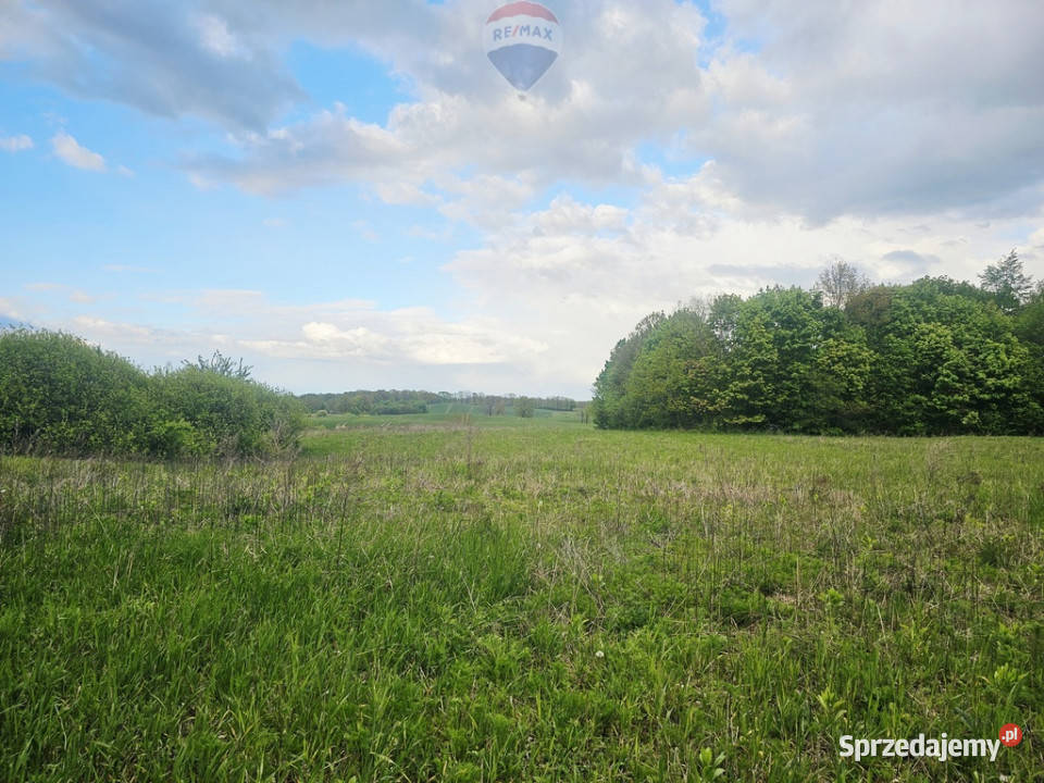 Ziemia rolna na sprzedaż Dębnik k Reszla Sprzedaż warmińsko-mazurskie