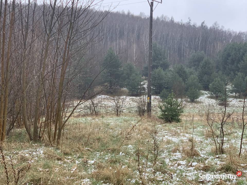 Syndyk sprzeda nieruchomość Częstochowa