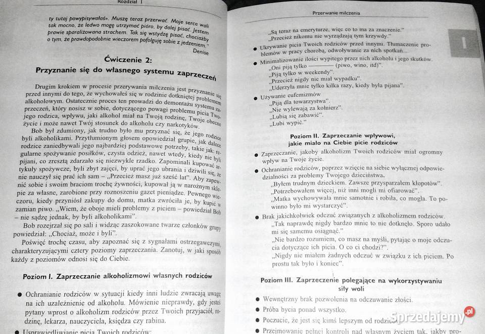 Czas uzdrowić swoje życie Timmen L Cermak Chełm