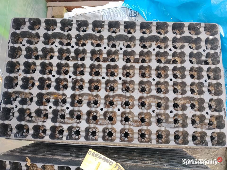 wielodoniczki multiplaty do sadzonek 104 otwory Łuków