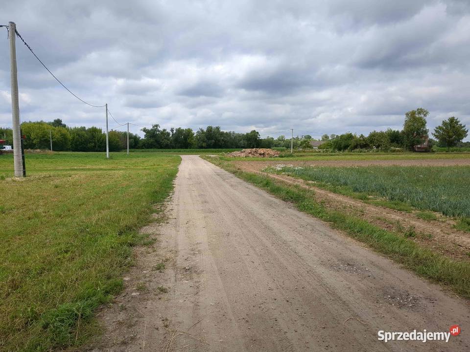 Udział w nieruchomości gruntowej syndyka Nieborzyn