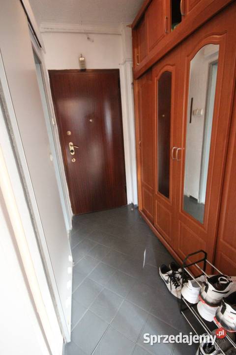 2pok 39met Ogrodu Botaniczego PIWNICAWINDA Liczba pokoi 2 Sprzedaż Mieszkania Wrocław