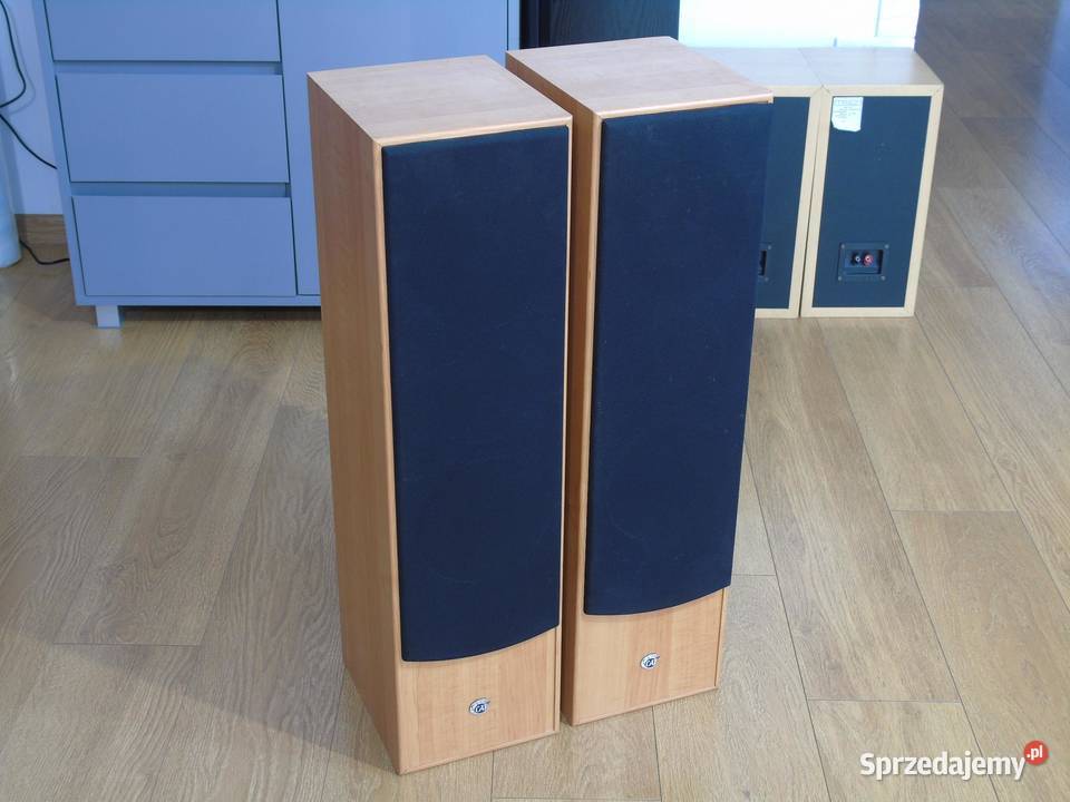 Kolumny Cat 2 x 380 wat ładne DOSTAWA podkarpackie Jasło