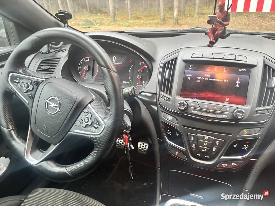 Opel Insignia Kruszyn