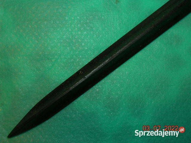 Włoski kolec w stanie Łódź