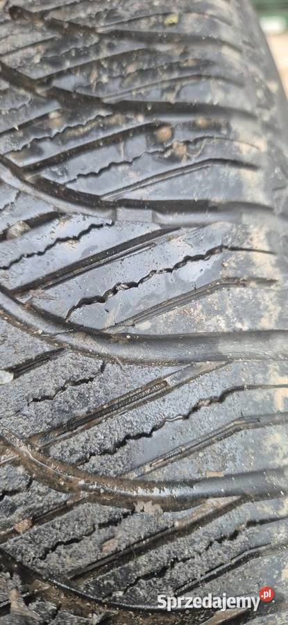 Dwie opony wielosezonowe 205 Poznań