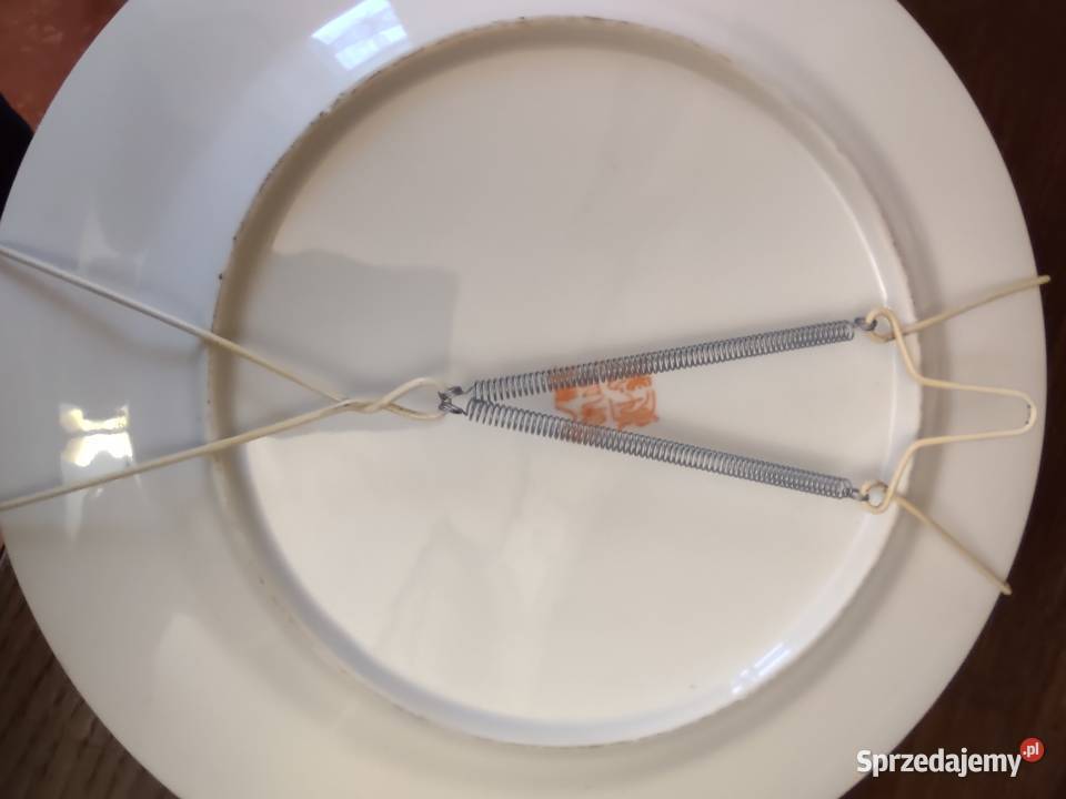 CHIŃSKA PORCELANA PIĘKNY TALERZ Gniezno