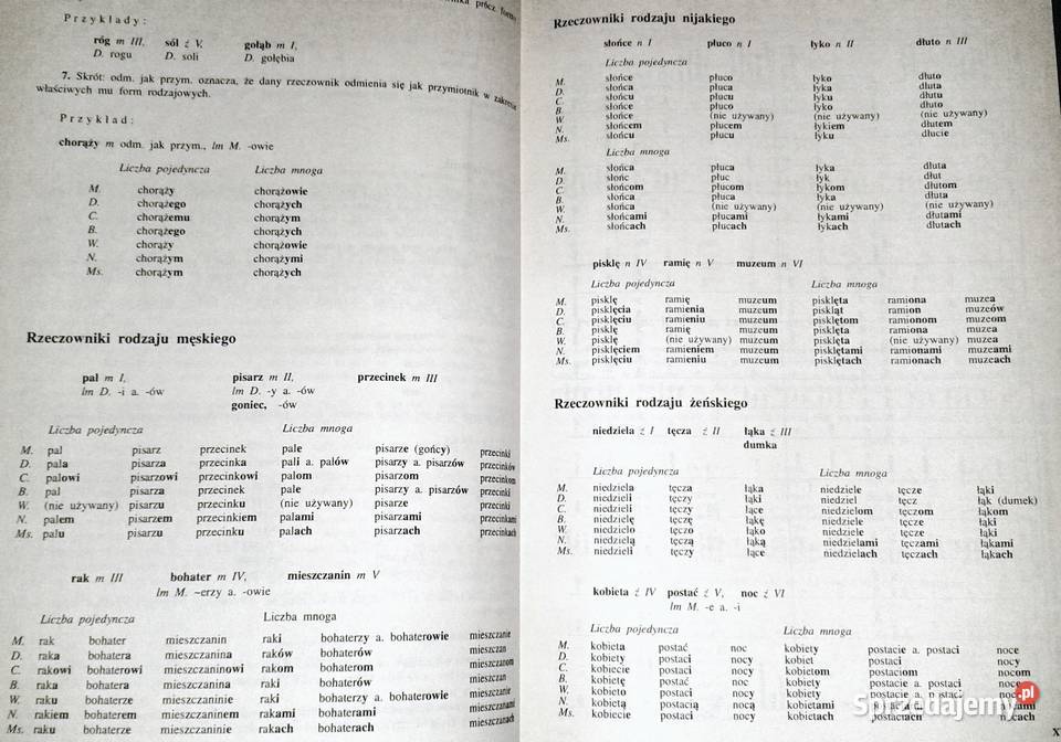 Mały słownik języka polskiego Red Elżbieta Sobol Chełm