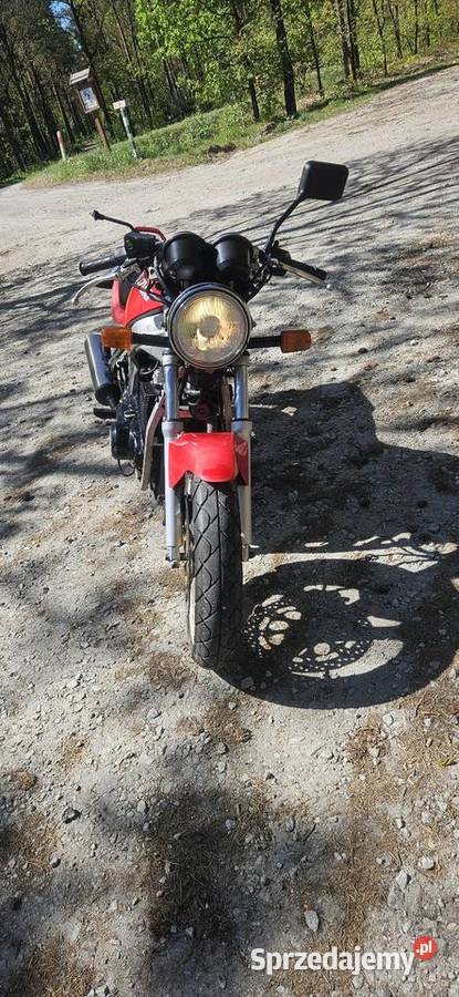 GS 500 gaźnik do regulacji zimowym postoju Chocianów