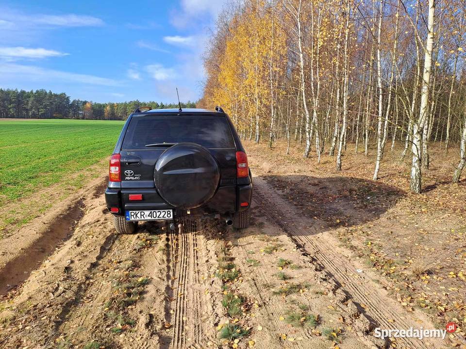 Toyota RAV 4 20 D4D 4x4 manualna Przasnysz