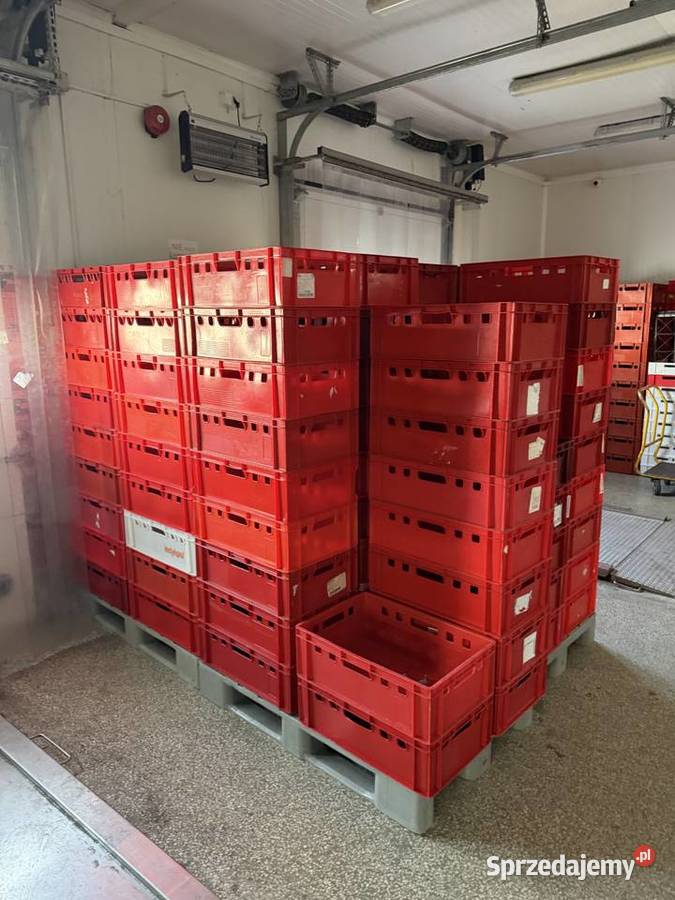 Syndyk sprzeda wyposażenie magazynowe Magazynowanie podlaskie