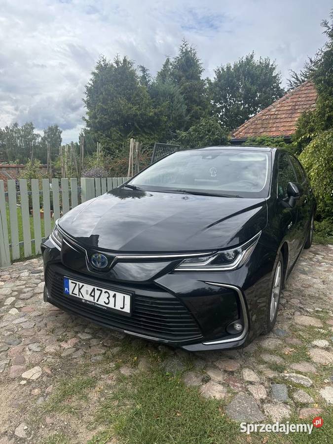 Toyta Corolla Cesja pomorskie