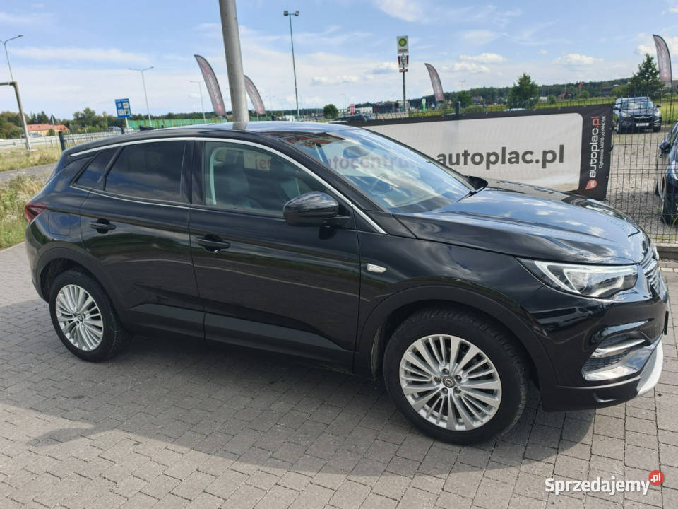 Opel Grandland X Lipówki