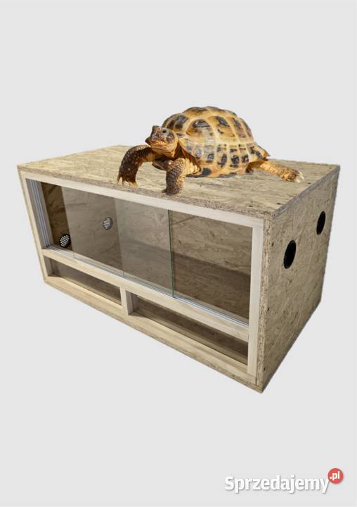 Terrarium z płyty osb 80x40x40 front drewniany wielkopolskie Pięczkowo