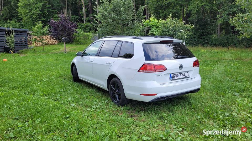 Volkswagen GOLF VII 16diesel 135 bezwypadkowy Gdynia sprzedam