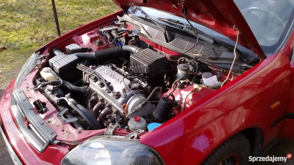 Honda Civic 14 1997 hatchback nieuszkodzony śląskie Tychy sprzedam