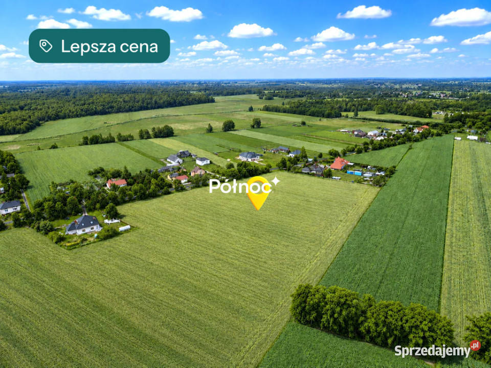 256 ha pod osiedle domów jednorodzinnych Sprzedaż lubelskie Ortel Książęcy Drugi