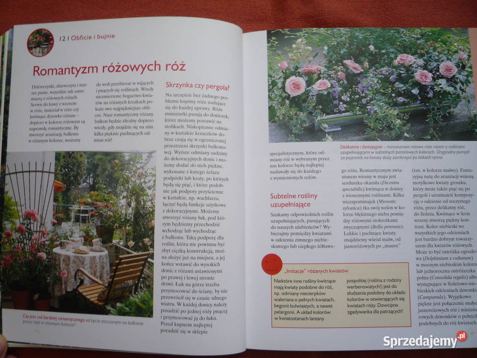 Nowa Balkony Piękne Ogrody Poradnik poradnik Szczecin