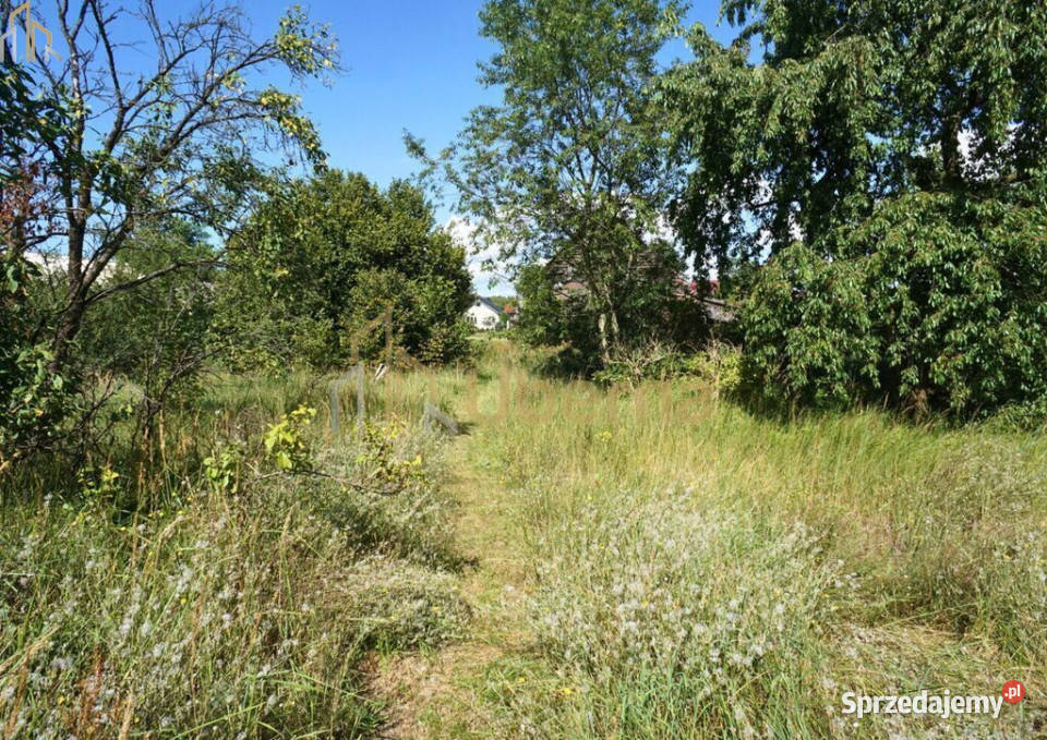 Dom do remontu z dużą działką Liczba pokoi 3 Komarowo