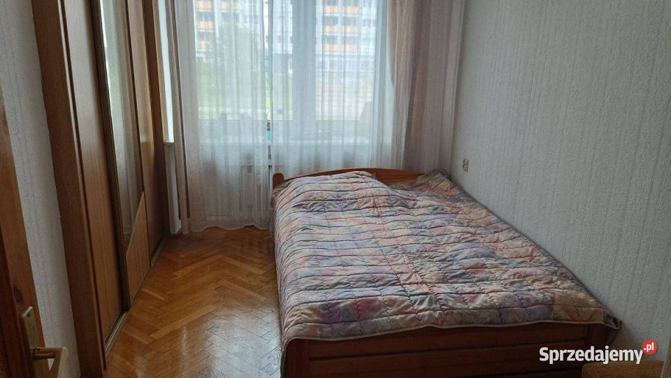 Ładne w lokalizacji Hetmańska piwnica wielkopolskie Poznań