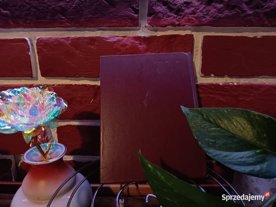 Słownik Frazeologiczny Związki Łączliwe w Języku Bydgoszcz