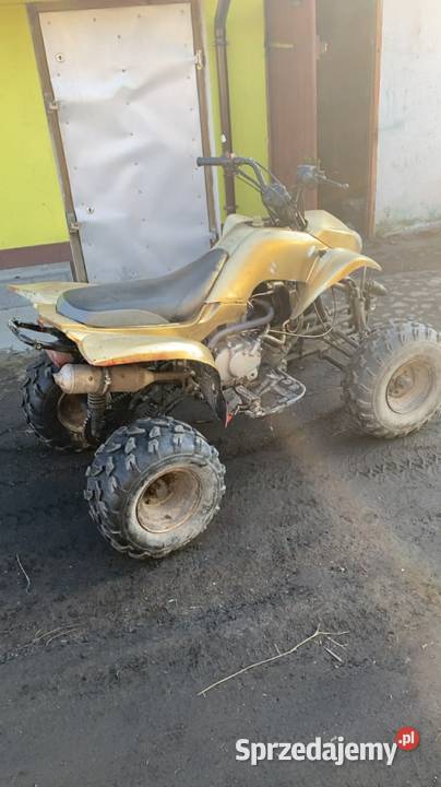 Bashan 200 ciecz zamiana 200cm3 Rąbino