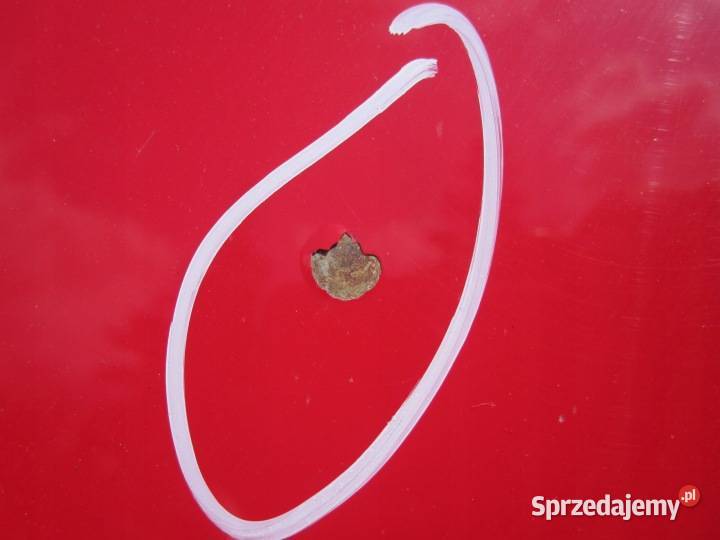 AUDI A3 8P LIFT 12r maska 30 mikronów Kielce