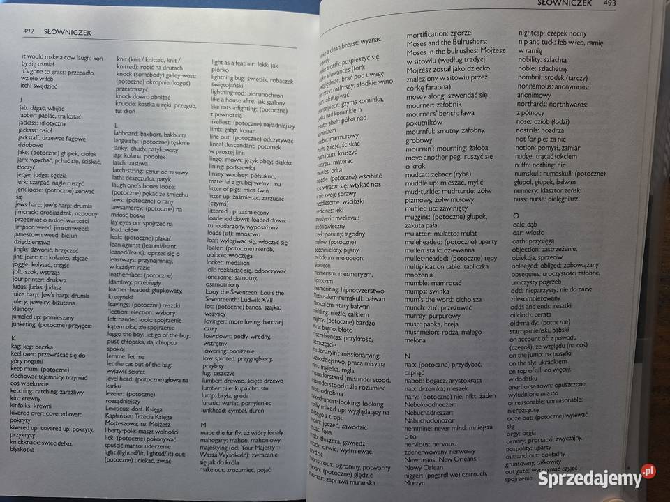 Przygody Hucka Finna z angielskim M Fihel D Kraków sprzedam