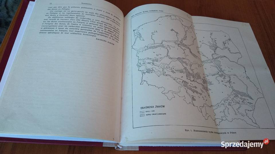 Wydmy śródlądowe Polski studium zbiorowe Cz 1 Gdańsk sprzedam