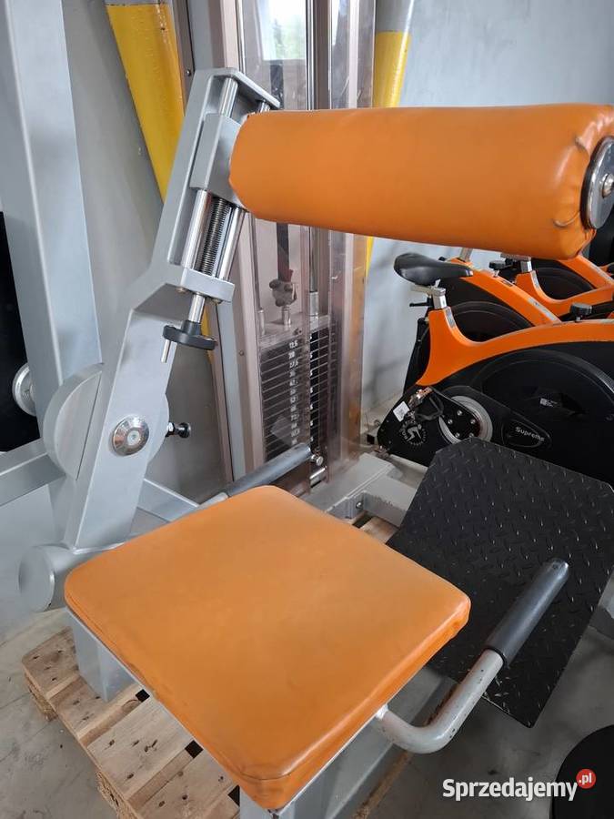 Profesjonalna maszyna na prostowniki pleców Wałcz