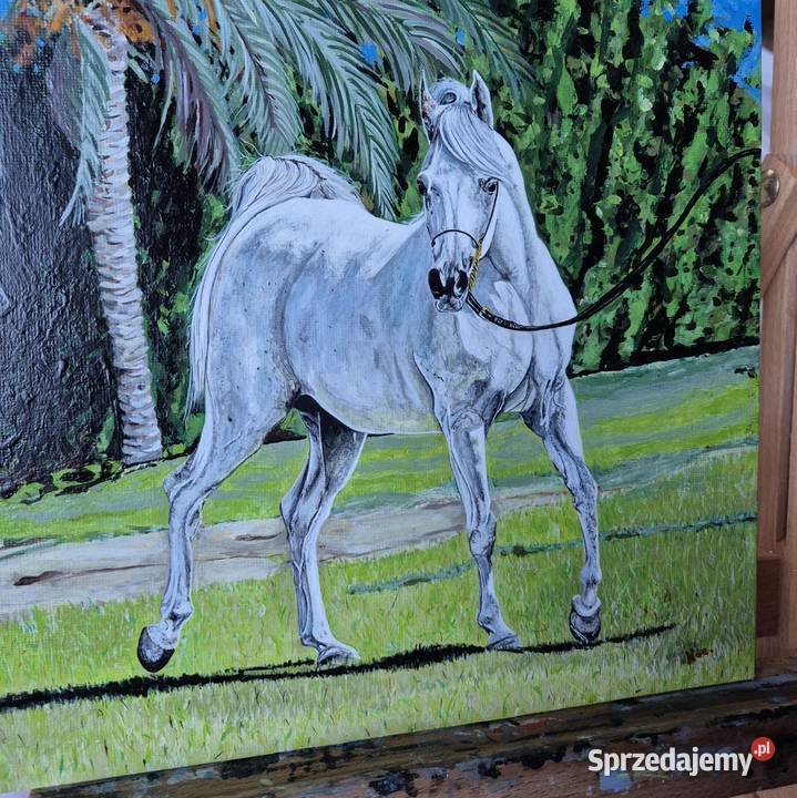 Obraz koń arabski araby konie stajnia klacz