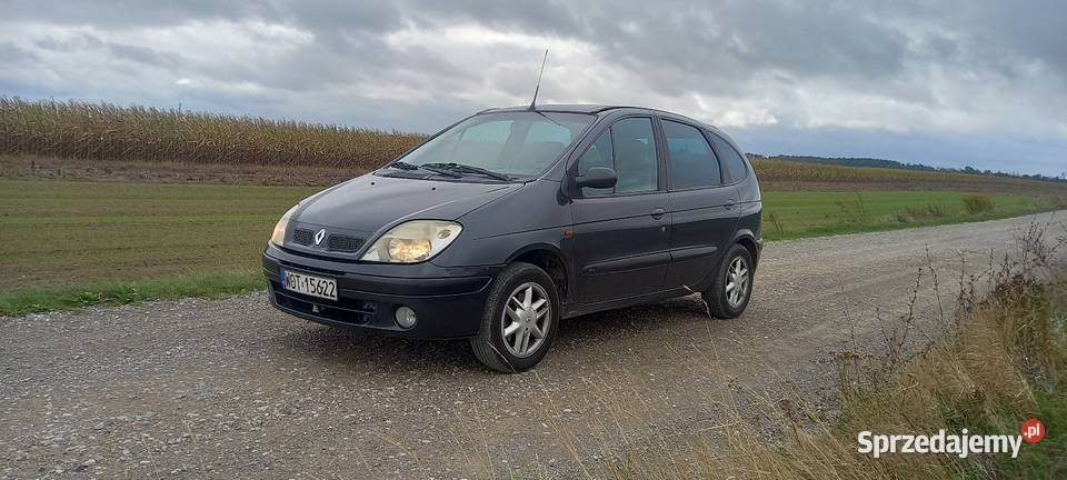 Renault Scenic 16 16V BG w stanie nieuszkodzony Łuków
