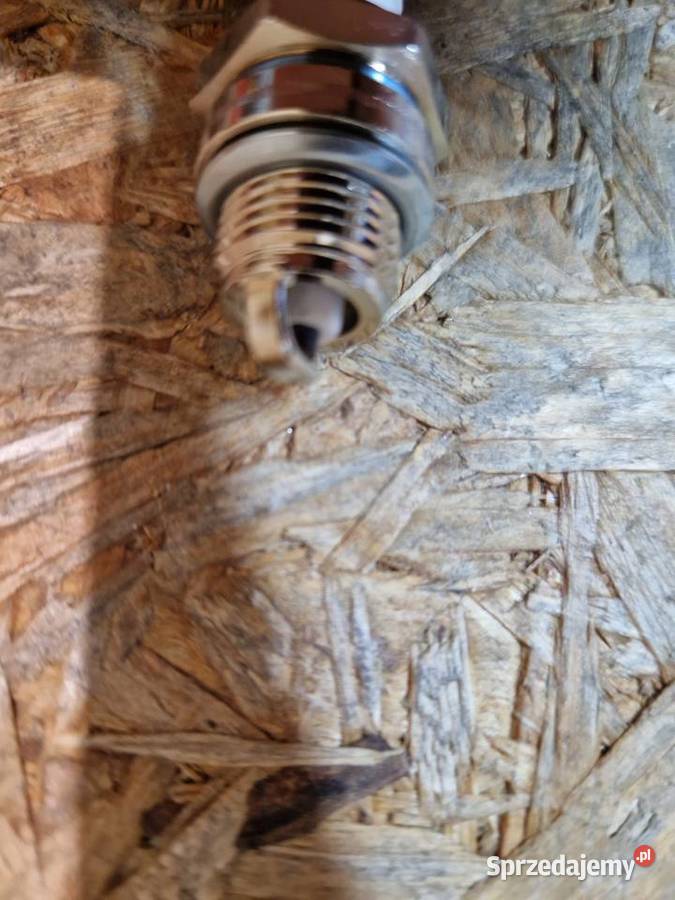 Świeca zapłonowa kosy spalinowej Głogowa