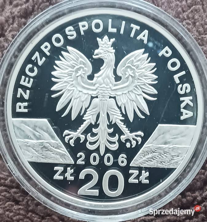 20 Świstak 2006 r Lustrzanka mennicze Konin