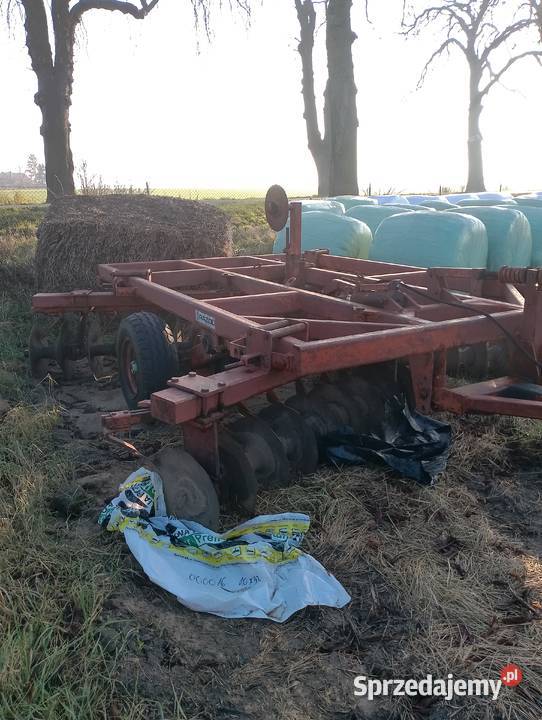 Talerzówka 42 m Kcynia