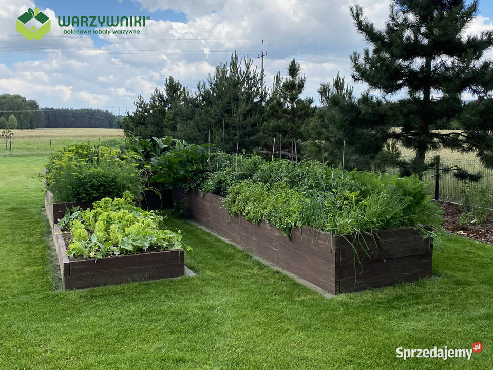Ekologiczny warzywniak betonowy Zielnik Inspekt małopolskie Kraków