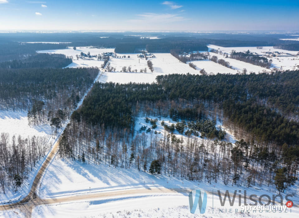sprzedaży działki Śródborze 128499m2 mazowieckie