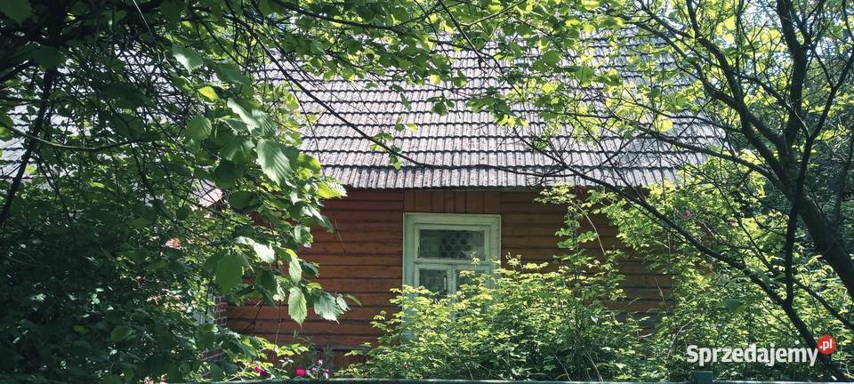 Gospodarstwo rolne działka 2ha Kowalin