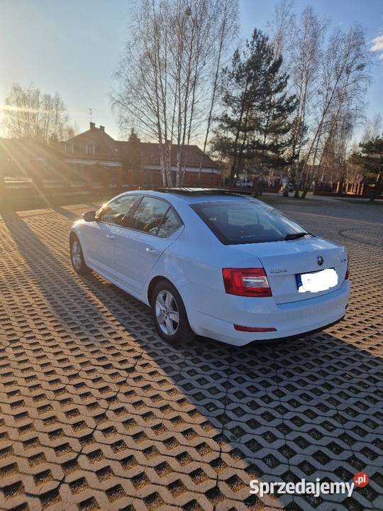 Octavia 3 20TDI Salon Polska Panorama led CANTON Sochaczew