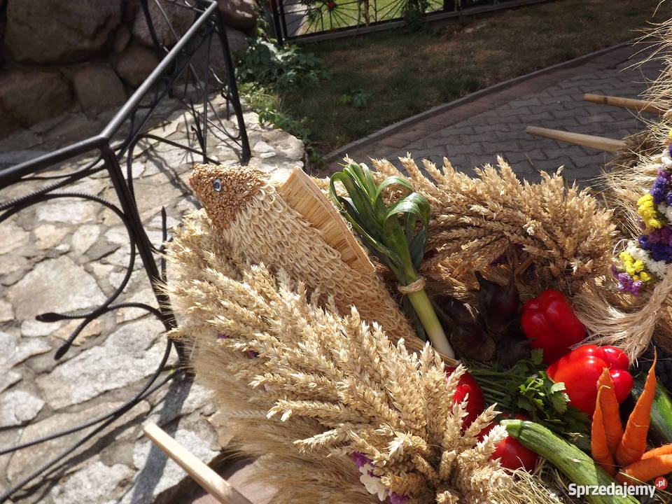 WIENIEC DOZYNKOWY Wrocław