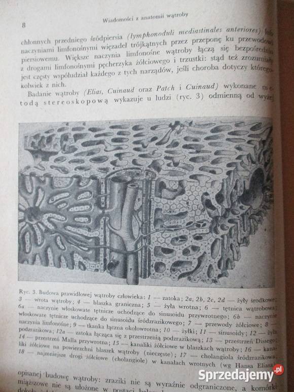 Choroby wątroby układu żółciowego i medycyna, nauki medyczne łódzkie