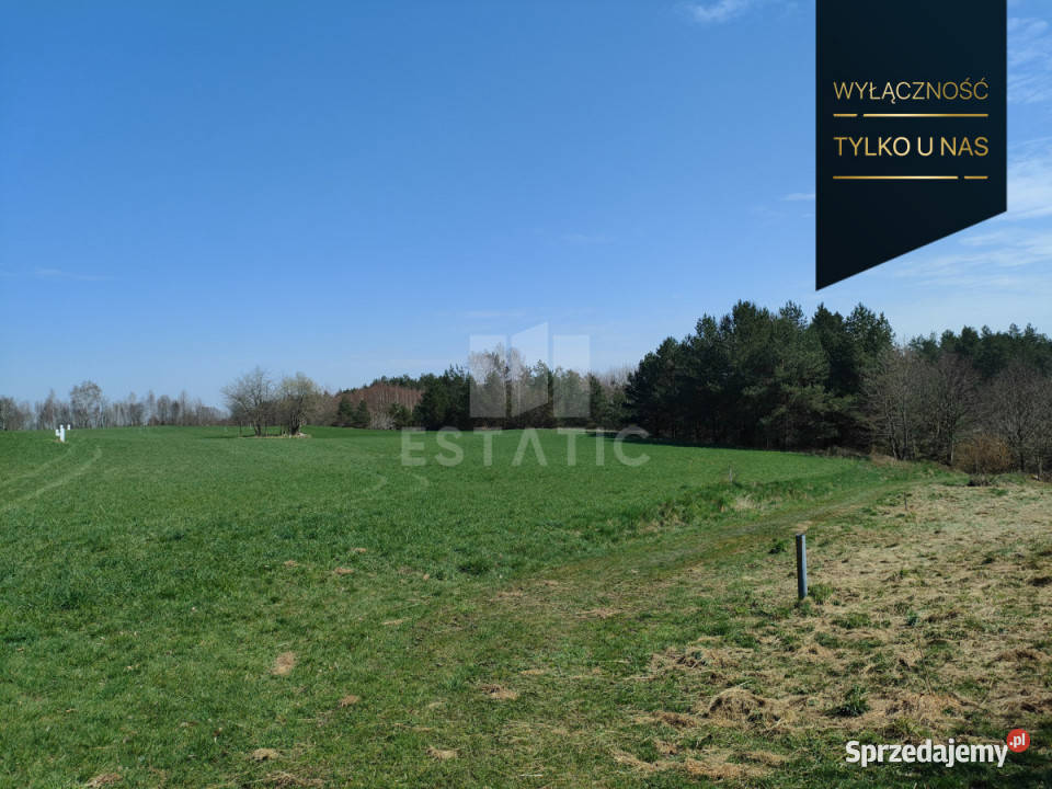 sprzedaży gruntu Rąb Wspólna 16317m2 Grunty i działki sprzedam