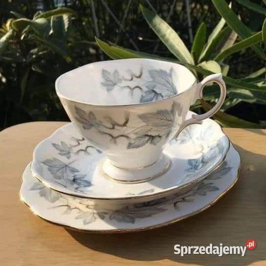 Filiżanka Silver Maple Royal Albert England Klon Gdańsk