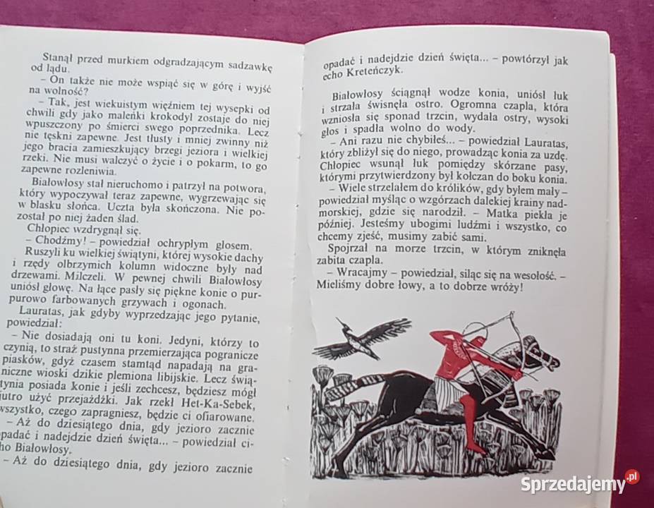 Joe Alex Czarne okręty Cz 1 Ofiarujmy bogom krew Koźminek